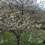 فندق Landgasthof Steuber - Garni *