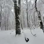 Landgasthof Steuber - Garni