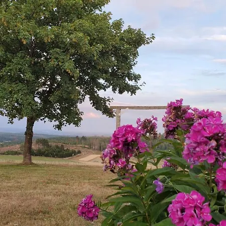 Landgasthof Steuber - Garni Otel *