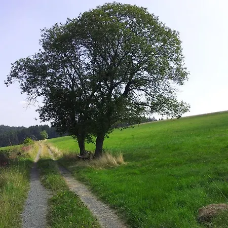 Landgasthof Steuber - Garni Otel