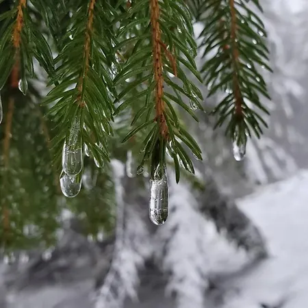 Landgasthof Steuber - Garni فندق *
