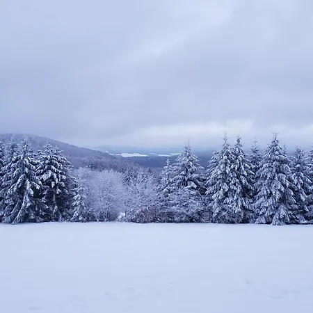 Hotel Landgasthof Steuber - Garni Bromskirchen