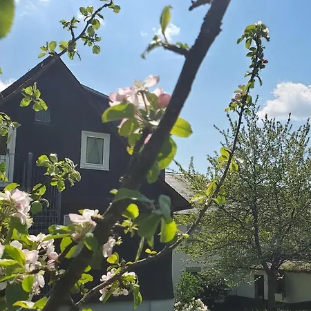 Landgasthof Steuber - Garni Bromskirchen