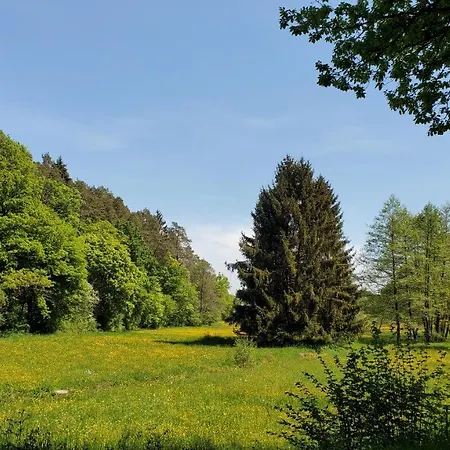 Landgasthof Steuber - Garni * Bromskirchen