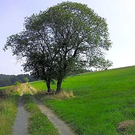 Landgasthof Steuber - Garni *