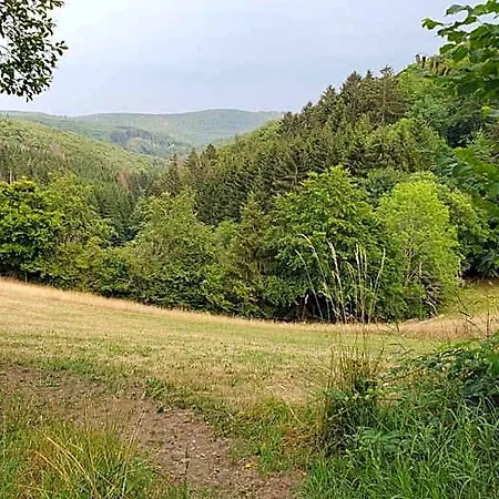 Landgasthof Steuber - Garni *