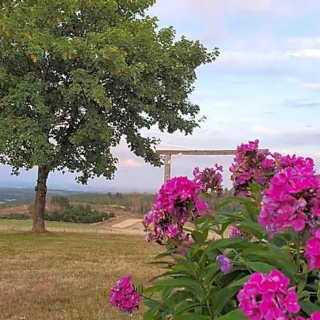 Landgasthof Steuber - Garni Hotell Bromskirchen