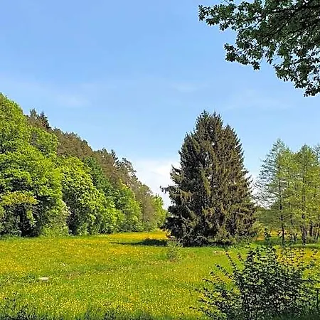 Landgasthof Steuber - Garni *