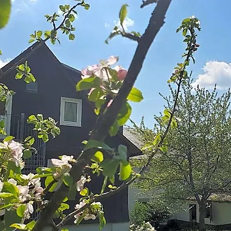 Landgasthof Steuber - Garni Bromskirchen