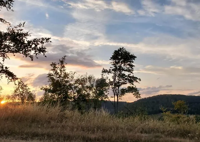 Landgasthof Steuber - Garni