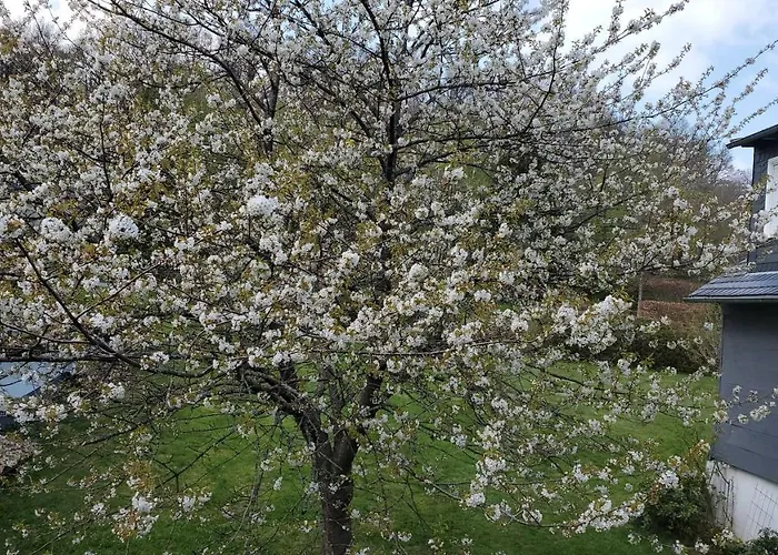 Szálloda Landgasthof Steuber - Garni *