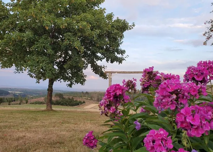 Landgasthof Steuber - Garni Hotel *