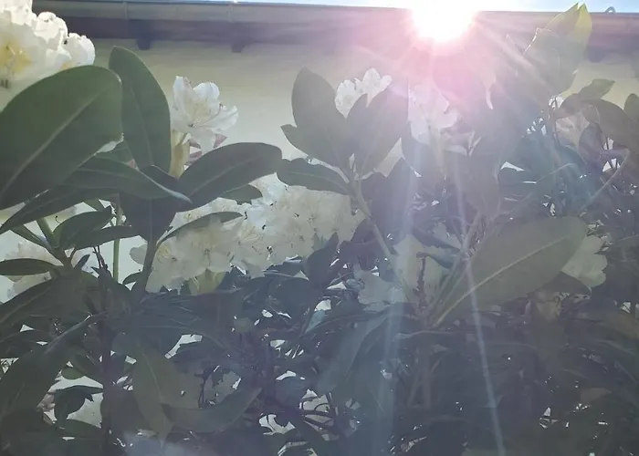 Hotel Landgasthof Steuber - Garni