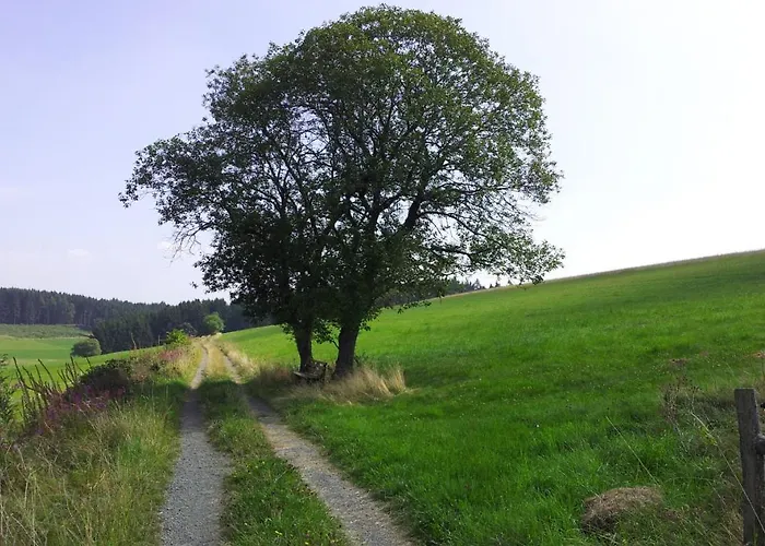 Landgasthof Steuber - Garni Szálloda