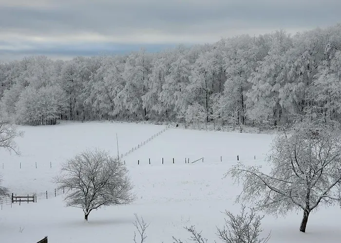 Szálloda Landgasthof Steuber - Garni