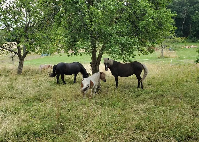 Landgasthof Steuber - Garni