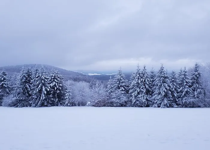 Szálloda Landgasthof Steuber - Garni Bromskirchen
