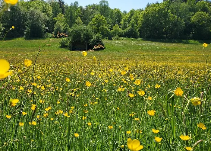Landgasthof Steuber - Garni Hotel