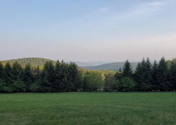 Landgasthof Steuber - Garni