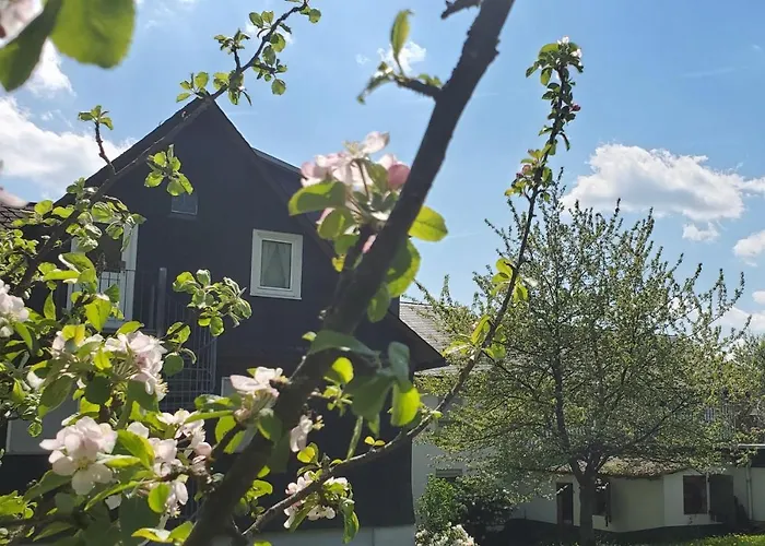 Landgasthof Steuber - Garni Bromskirchen