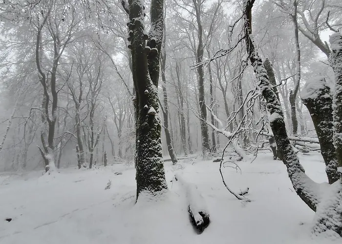 Landgasthof Steuber - Garni